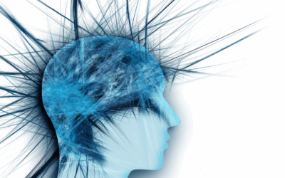 Understanding Stress: When Your Nervous System Won’t Stop Hitting the Panic Button