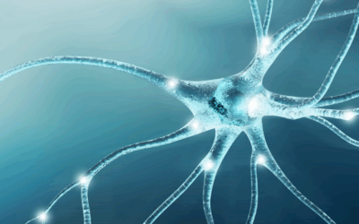 The Heart-Brain Connection: How to Take Control of Stress and Support Your Cardiovascular Health