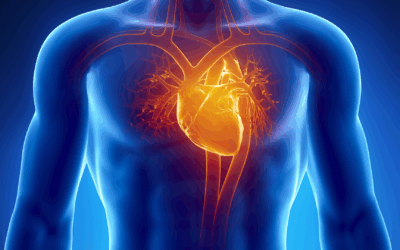 The Hidden Cost of Stress: What It Does to Your Heart